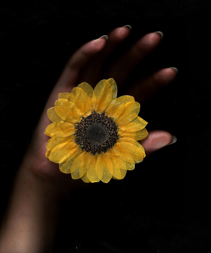 Botanical Slumber