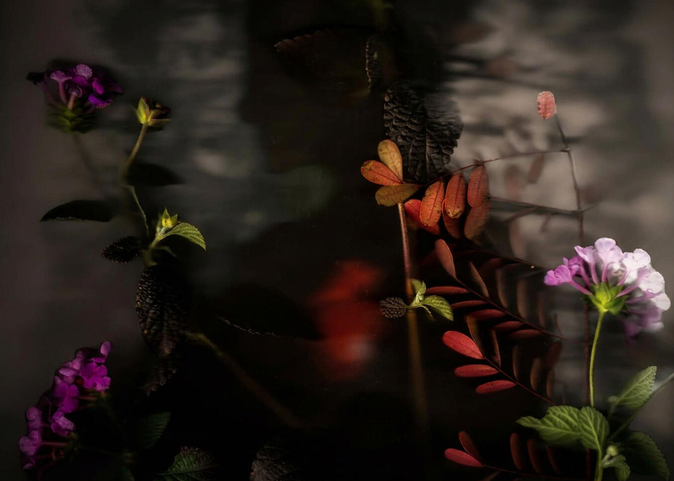 Botanical Slumber